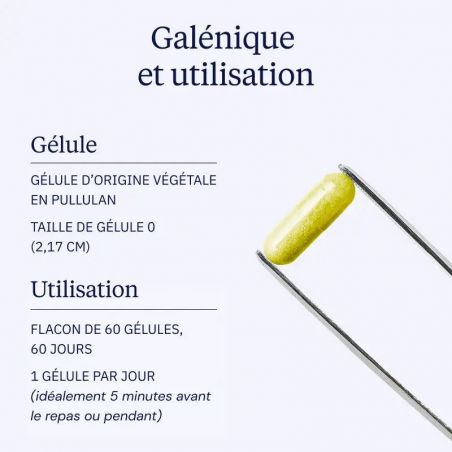 Berbérine pure 300 mg - Galénique - Dynveo