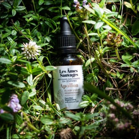 Elixir visage bio régénérant Apollon au Q10