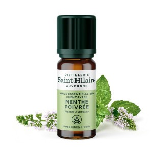 Huile essentielle Menthe Poivrée 10 ml - Saint Hilaire