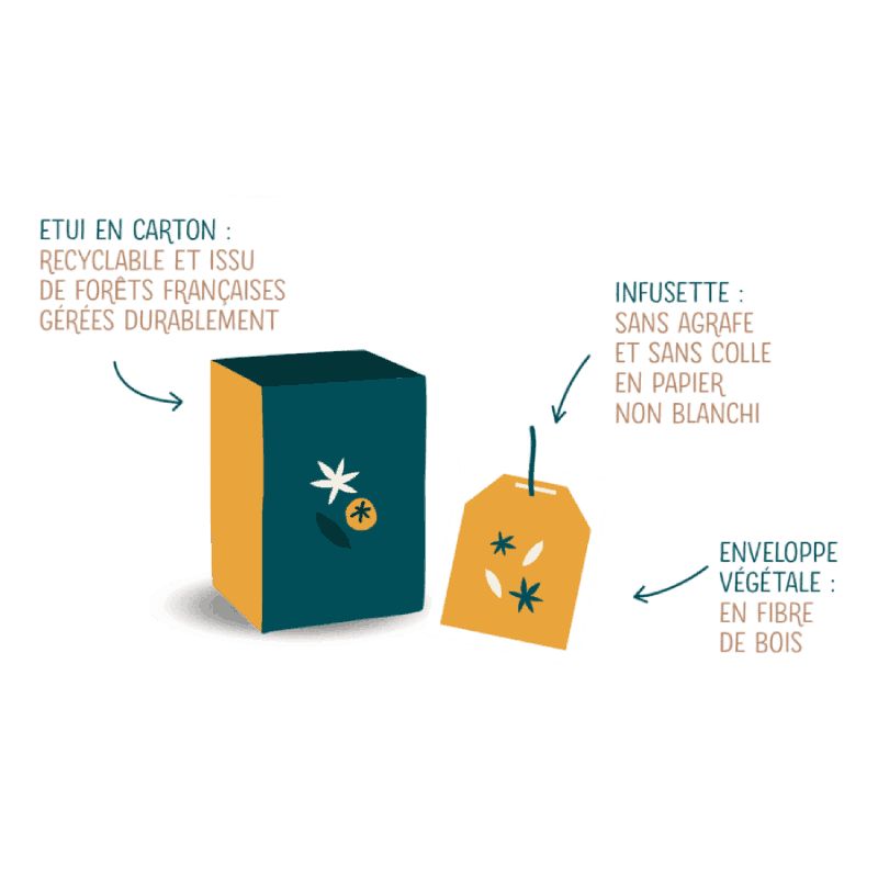 Infusion bio Détox intégrale - 20 infusettes