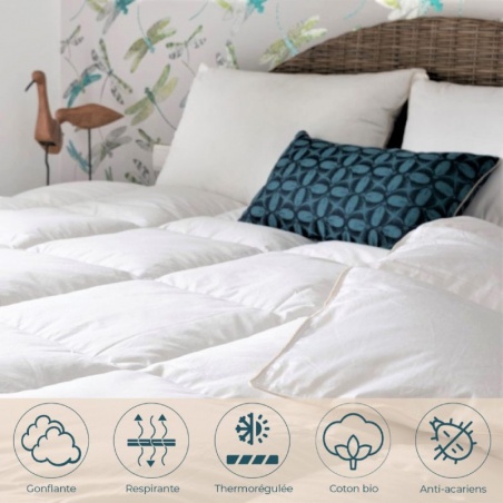 Couette Mi-saison canard 200 x 200 cm Manufacture Castex - Manufacture Castex