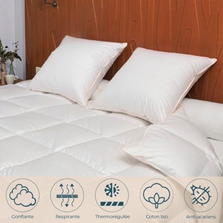 Couette Hiver Oie 140 x 200 cm Manufacture Castex - Manufacture Castex