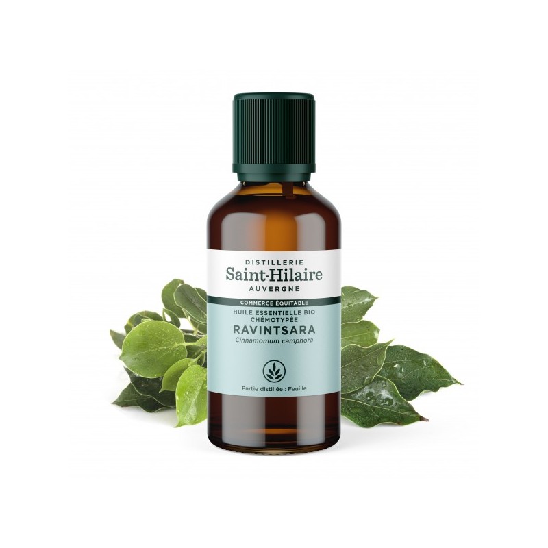 Huile essentielle Ravintsara - Saint Hilaire