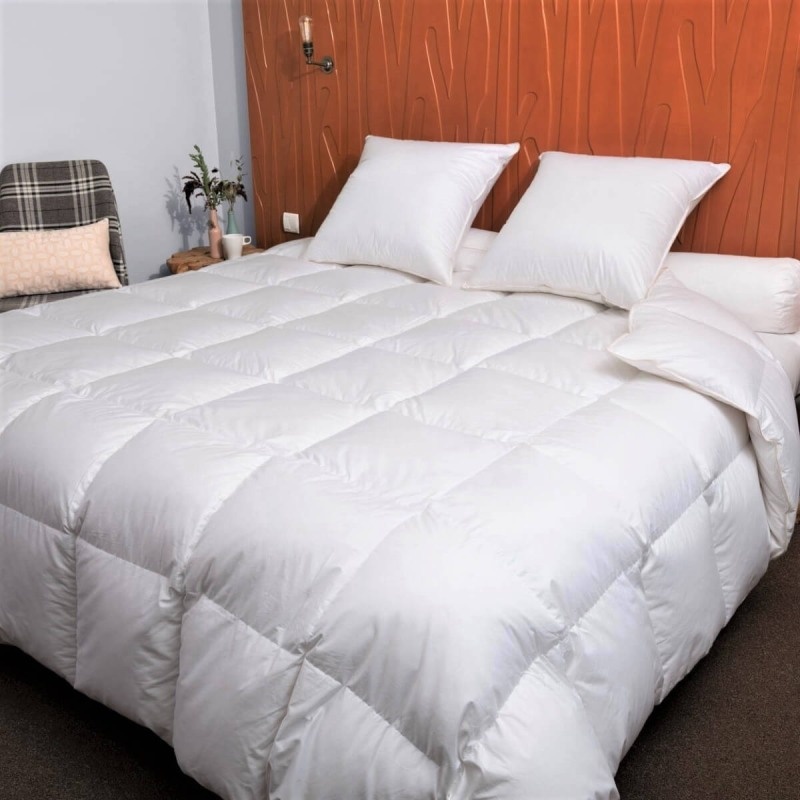 Couette Hiver Oie 260 x 240 cm Manufacture Castex