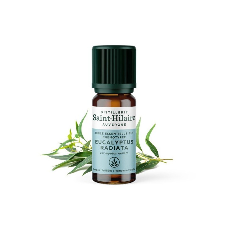 Huile essentielle Eucalyptus radiata Bio - Saint Hilaire