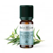 Huile essentielle Eucalyptus radiata Bio - Saint Hilaire