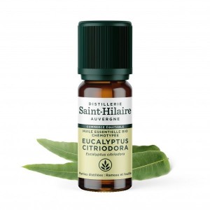 Huile essentielle Eucalyptus citronné Bio - Saint Hilaire