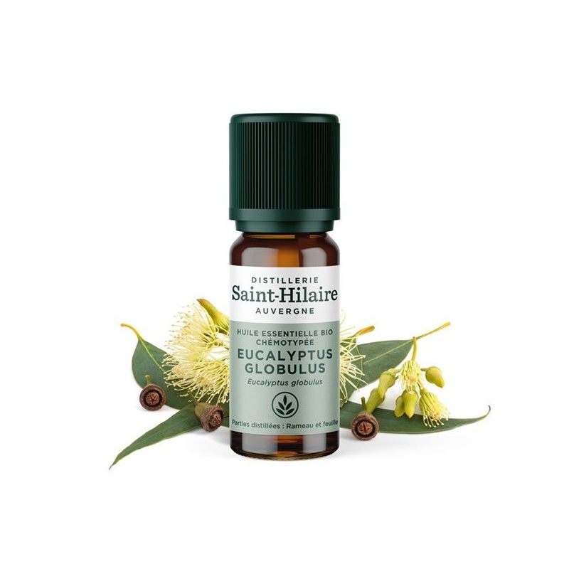 Huile essentielle Eucalyptus Globulus bio - 10 ml Distillerie Saint-Hilaire