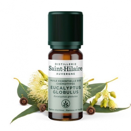Huile essentielle Eucalyptus Globulus bio - 10 ml Distillerie Saint-Hilaire - Distillerie Saint-Hilaire