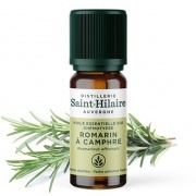 Huile essentielle Romarin à Camphre bio - 10 ml Distillerie Saint-Hilaire