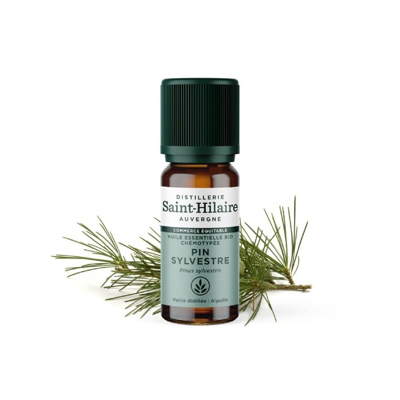 Huile essentielle Pin Sylvestre bio - 10 ml Distillerie Saint-Hilaire