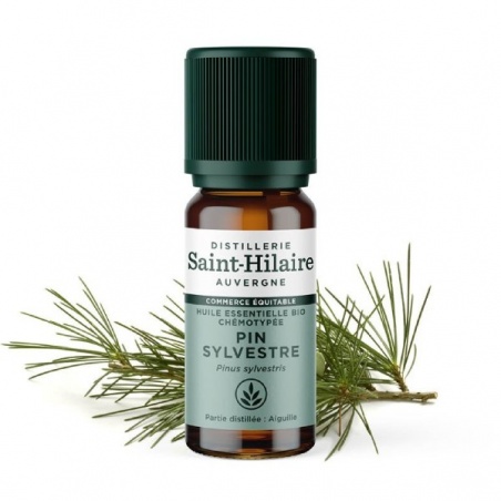 Huile essentielle Pin Sylvestre bio - 10 ml Distillerie Saint-Hilaire - Distillerie Saint-Hilaire