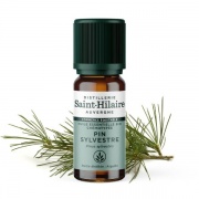 Huile essentielle Pin Sylvestre bio - 10 ml Distillerie Saint-Hilaire