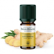 Huile essentielle Gingembre bio - 5 ml Distillerie Saint-Hilaire