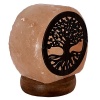 Lampe de Sel Himalaya Arbre de Vie USB 1 kg Esoterra