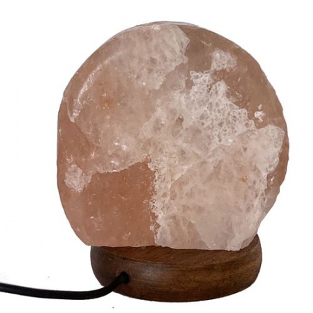 Lampe de Sel Himalaya Arbre de Vie USB 1 kg Esoterra