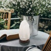 Lampe de Sel Himalaya blanche brute 1 à 2 kg Esoterra