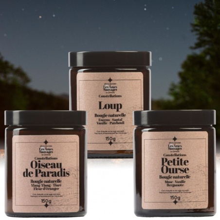 Lot de 3 bougies artisanales naturelles Constellation Les Âmes Sauvages - Les Âmes Sauvages