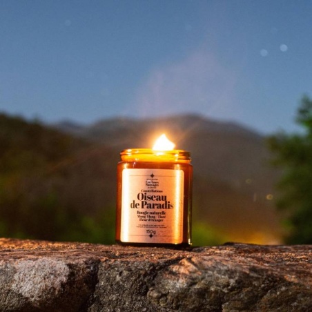 Coffret instant zen : bougie, infusion, roll-on relaxant Nouvojour