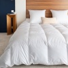 Couette King Size mi-saison canard - 280 x 240 cm Manufacture Castex