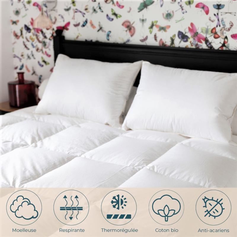 Couette Couple Canard 260 x 240 cm Manufacture Castex