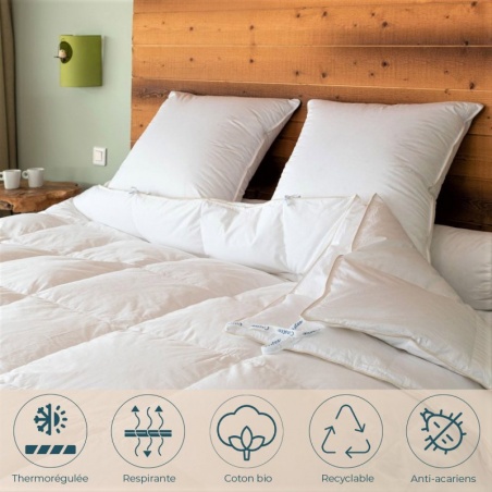 Couette King Size 4 saisons canard - 280 x 240 cm Manufacture Castex - Manufacture Castex