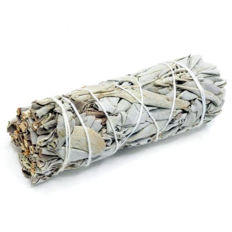 Sauge blanche - Baton à bruler - 