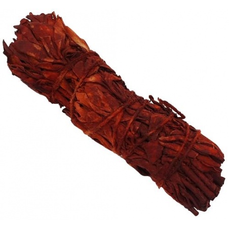 Sauge Sang de Dragon - 