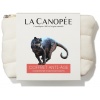 Coffret Rituel Anti-âge concentré d'antioxydants La Canopée