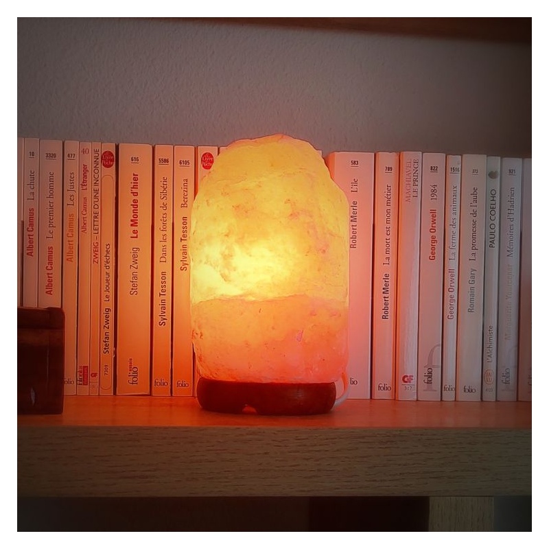 Lampe de Sel Himalaya brute 1 à 2 kg Esoterra