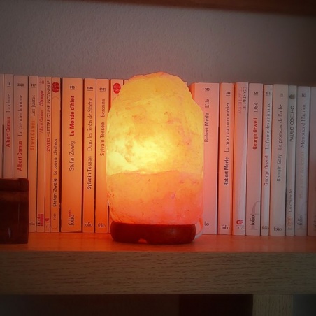 Lampe de Sel Himalaya brute 1 à 2 kg Esoterra