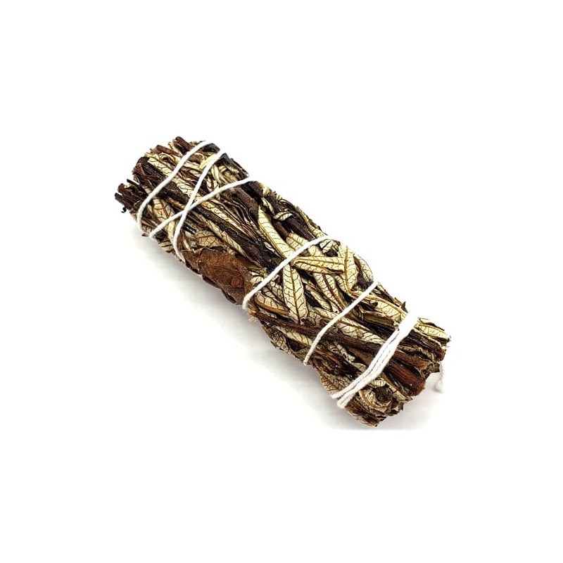 Sauge noire Yerba Santa