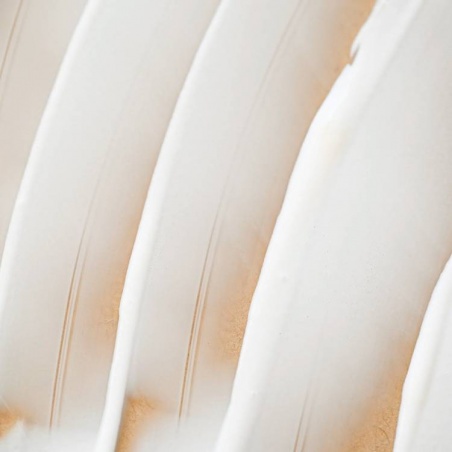 Crème visage nourrissante Endro Cosmétiques