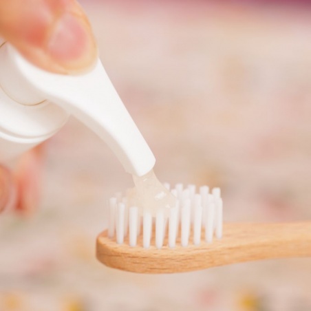 Dentifrice menthe à dissoudre + 4 recharges Pimpant