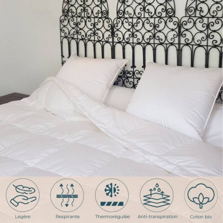 Couette fine fraîcheur Canard 260 x 240 cm Manufacture Castex - Manufacture Castex