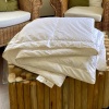 Couette fraicheur King Size canard - 280 x 240 cm Manufacture Castex