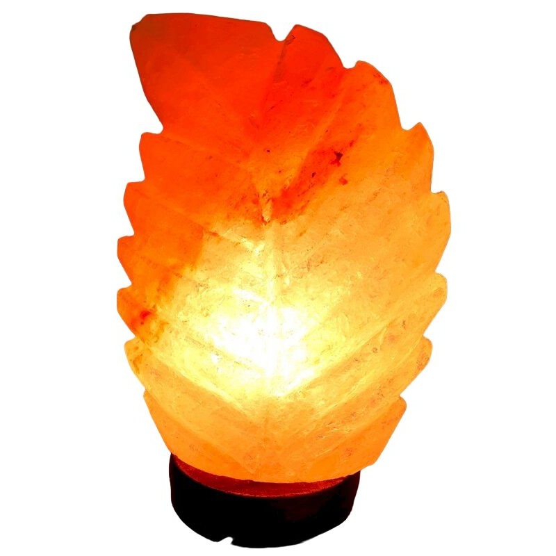 Lampe de Sel Feuille Esoterra