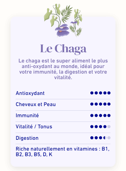 bienfaits champignon Chaga