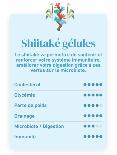 bienfaits champignon Shiitaké