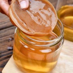 idée cadeau : mère de kombucha