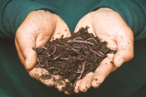 composter pour une démarche zéro déchet