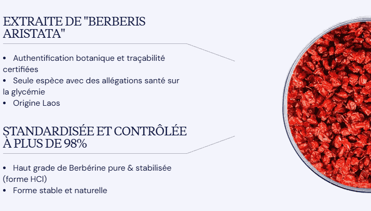 bienfaits complément alimentaire berbérine dynveo