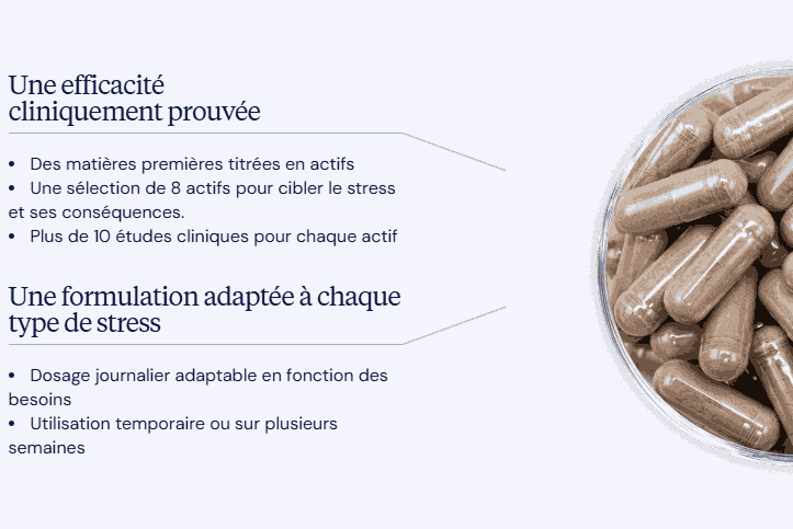 bienfaits complément alimentaire stress dynveo