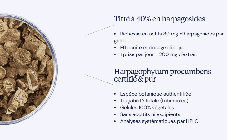 avantages harpagophytum dynveo