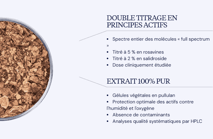avantages rhodiola rosea dynveo
