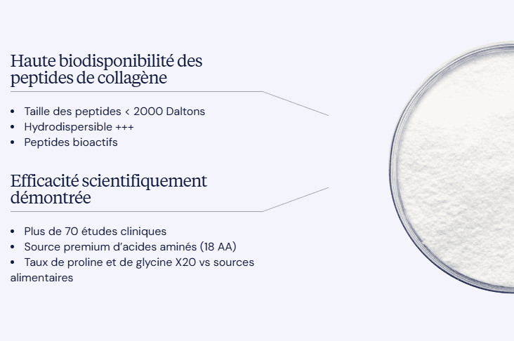 bienfaits Collagene marin Peptan dynveo
