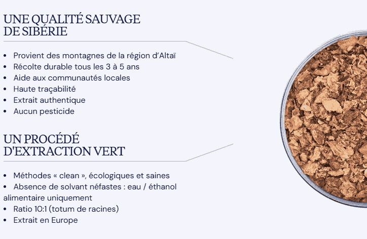 bienfaits rhodiola rosea dynveo