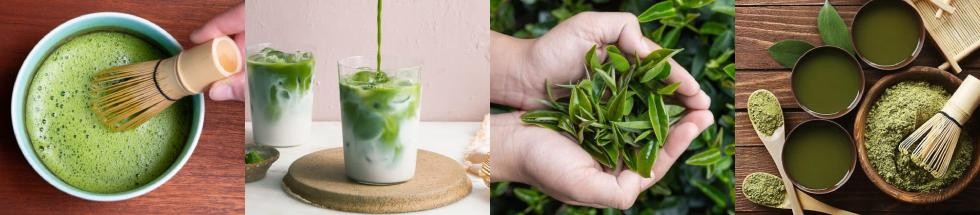 Matcha : Bienfaits, Effets Secondaires, Recettes et Guide d’Utilisation