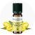 Aromath&eacute;rapie